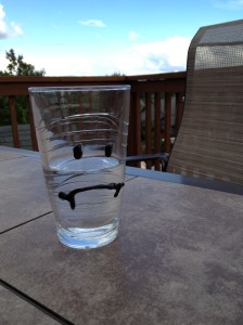Sad glass is sad (and pensive).  Perhaps it is thinking about when it was a full glass.