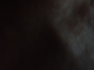 Here's a close-up of dangly bits!  (No, this is not that blog, you can stop looking.)