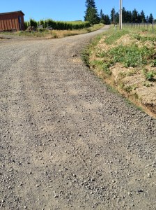 This is one of the hills I am sure not to take too seriously.