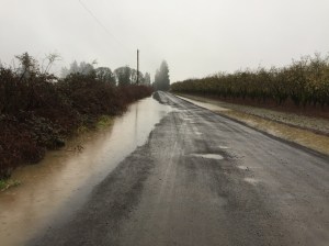 I had to ford this mighty stream just like my homesteading ancestors.