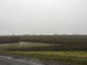 In the distance, you can see the house where the aviation magnate slowly descended into madness and bankruptcy. It's available!