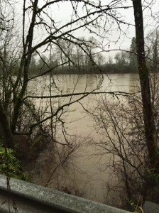 The water skiers must be making a late start today.