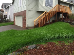 This will be dry enough to mow by August 2016.