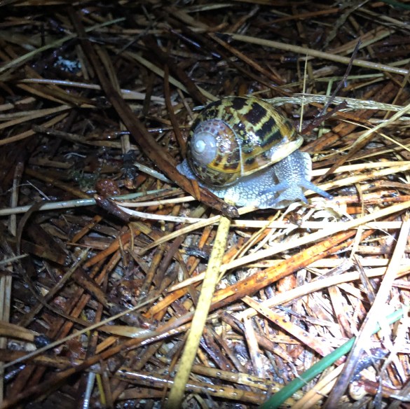 6E0A052D-2AF8-4CC7-93AC-03361F6C3D0F