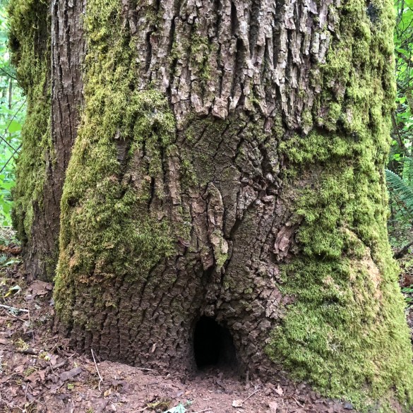 B1EF045C-C6A7-4B9A-8383-33E2E17E6687